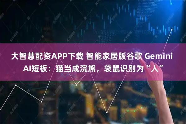 大智慧配资APP下载 智能家居版谷歌 Gemini AI短板：猫当成浣熊，袋鼠识别为“人”