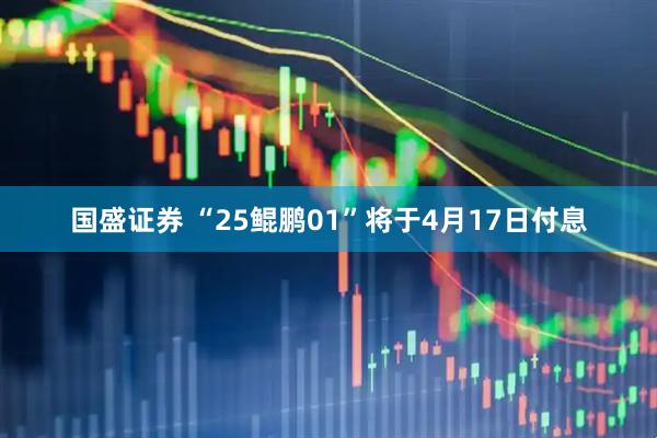 国盛证券 “25鲲鹏01”将于4月17日付息